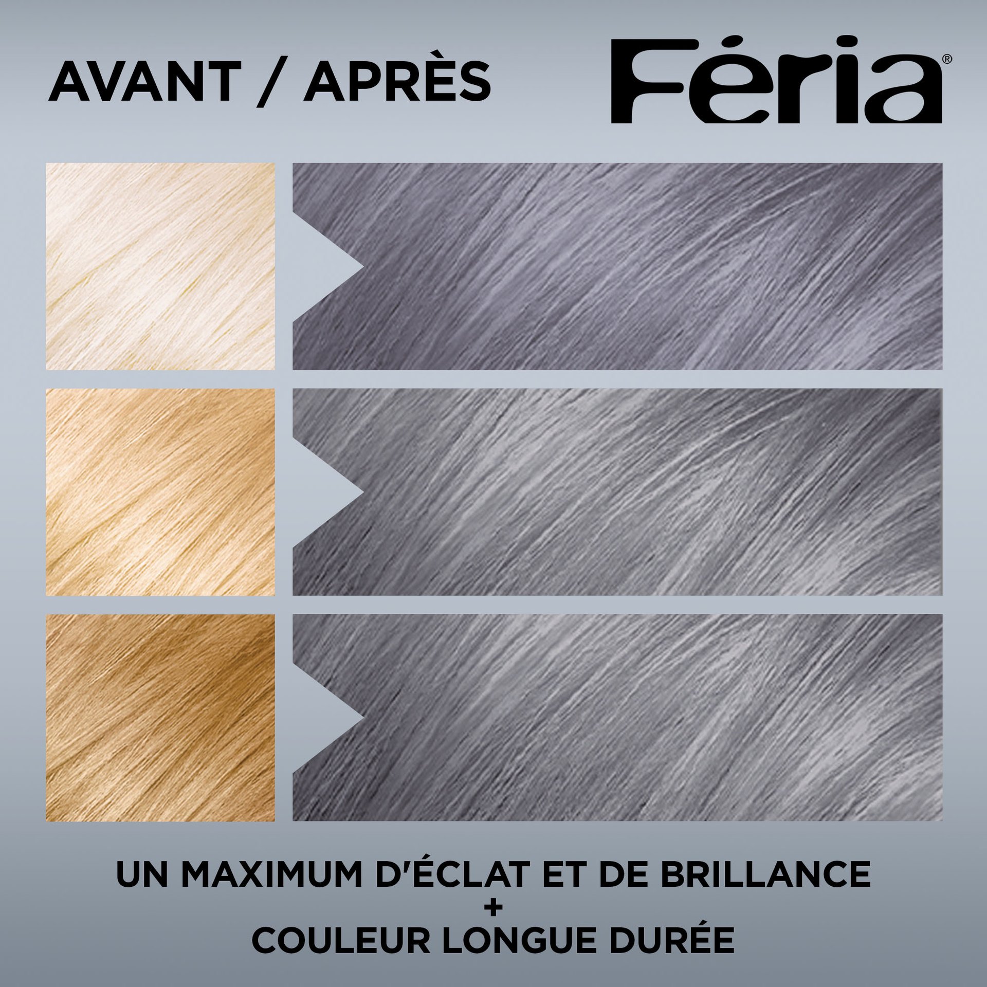 Avant et après la coloration Feria S1 Gris Argenté